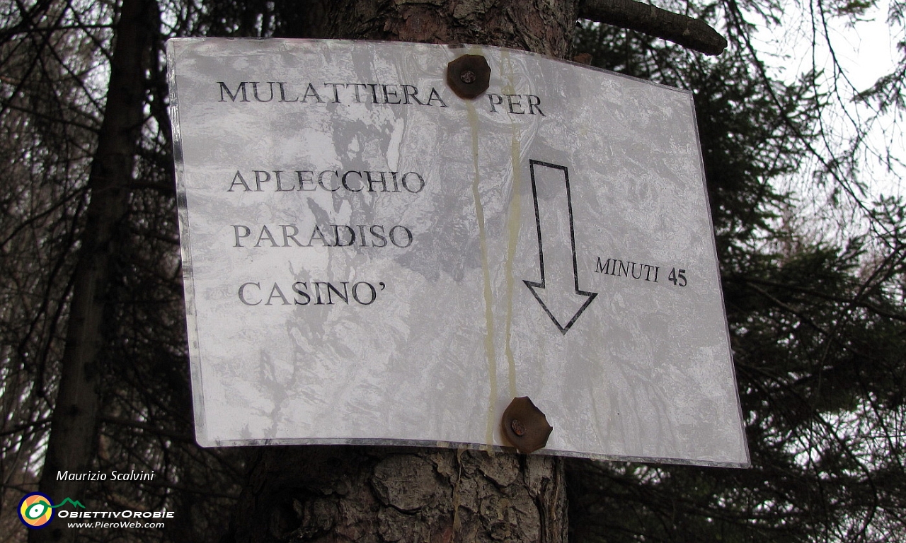 45 Dal cortiletto delle grotte un  cartello artigianale mi indirizza verso Aplecchio....JPG
